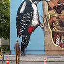 Positive-Propaganda / Ericailcane / Streetart in Munich - work in progress