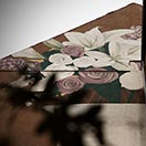 Positive-Propaganda / ESCIF / Streetart in München - work in progress