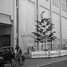 Positive-Propaganda / LIQEN / Streetart in München - work in progress