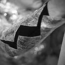 Mark Jenkins - Tape-Sculpture Casting