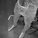 Mark Jenkins - Sculpture Preparation