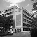 Mona Caron - Work in Progress