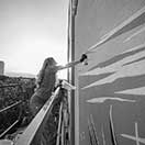 Mona Caron - Work in Progress